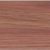 3783 Walnut